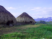 Baliem Valley Resort